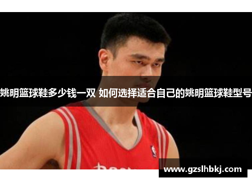 姚明篮球鞋多少钱一双 如何选择适合自己的姚明篮球鞋型号