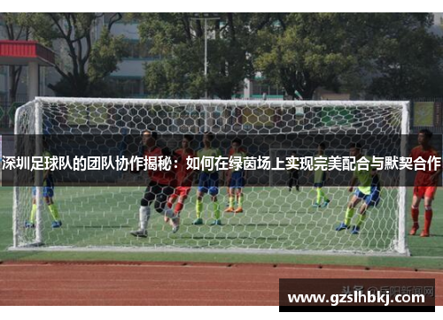 深圳足球队的团队协作揭秘：如何在绿茵场上实现完美配合与默契合作