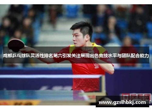 成都乒乓球队灵活性排名第六引发关注展现出色竞技水平与团队配合能力