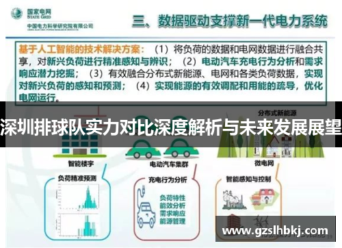 深圳排球队实力对比深度解析与未来发展展望
